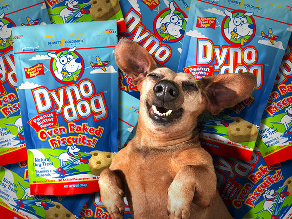 Dyno-Dog Oven Baked Dog Biscuits 10oz resealable zipper pouch - Packaging design by Brian K. Harris BKreative.